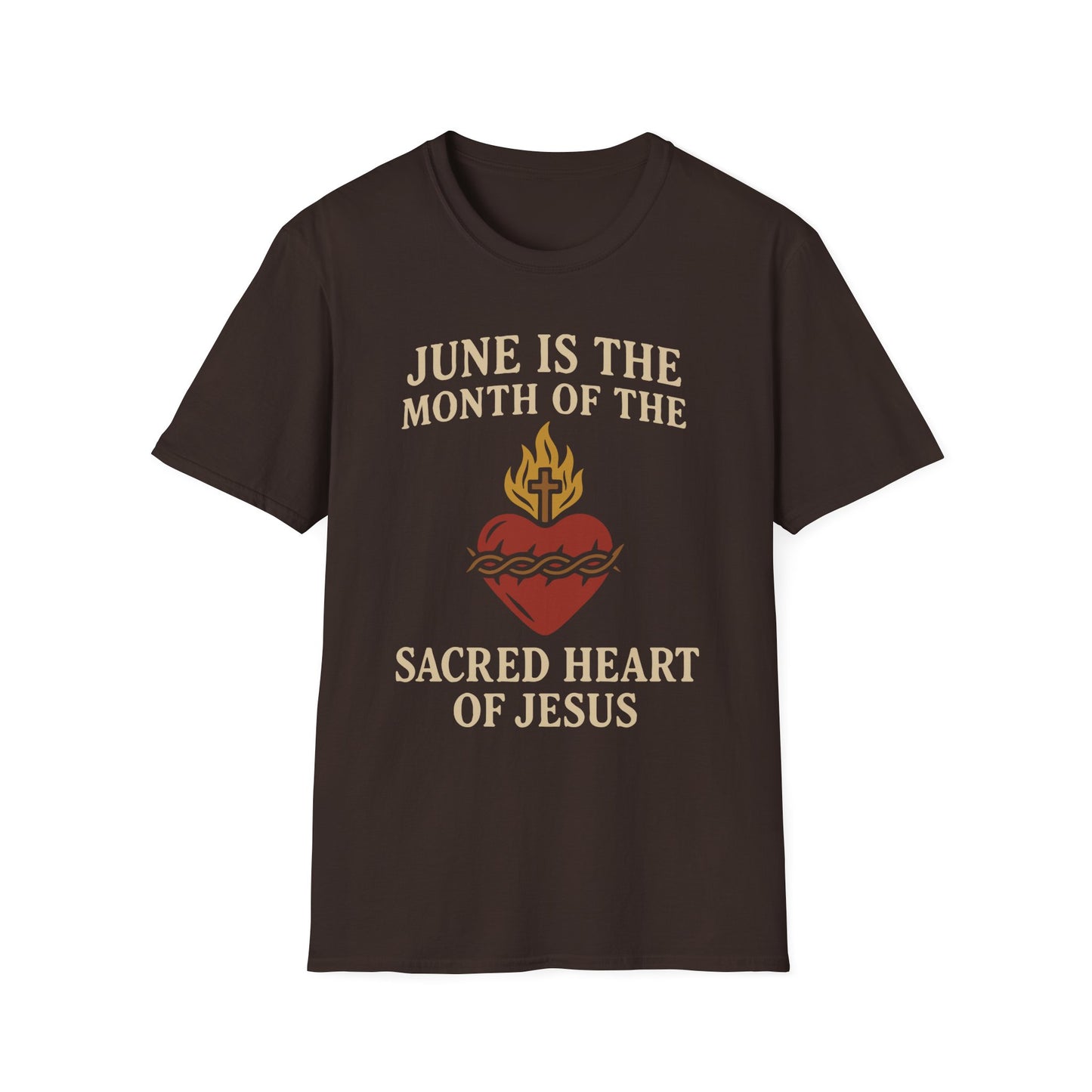 Sacred Heart of Jesus T-Shirt, Faith-based Tee, Christian Gift, Spiritual Apparel, Monthly Devotion Shirt