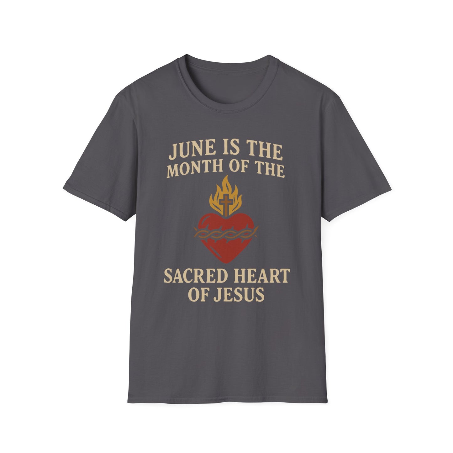 Sacred Heart of Jesus T-Shirt, Faith-based Tee, Christian Gift, Spiritual Apparel, Monthly Devotion Shirt