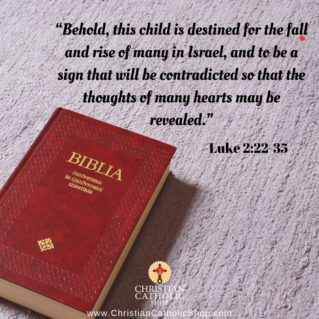 Daily Readings December 29, 2018