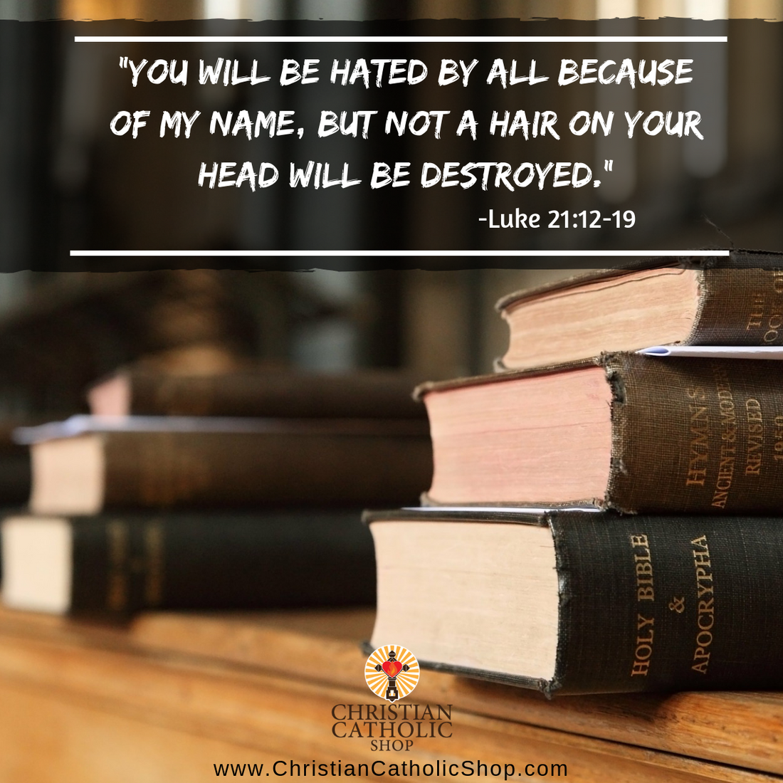 Daily Readings November 28, 2018
