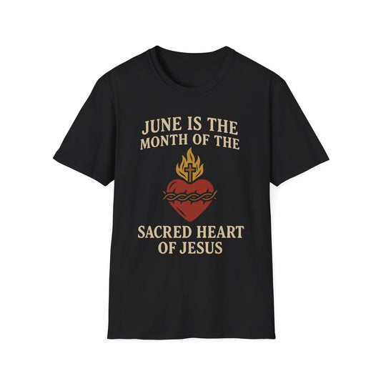 Sacred Heart of Jesus T-Shirt, Faith-based Tee, Christian Gift, Spiritual Apparel, Monthly Devotion Shirt